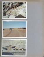 Petrified Forest - Alan and cars