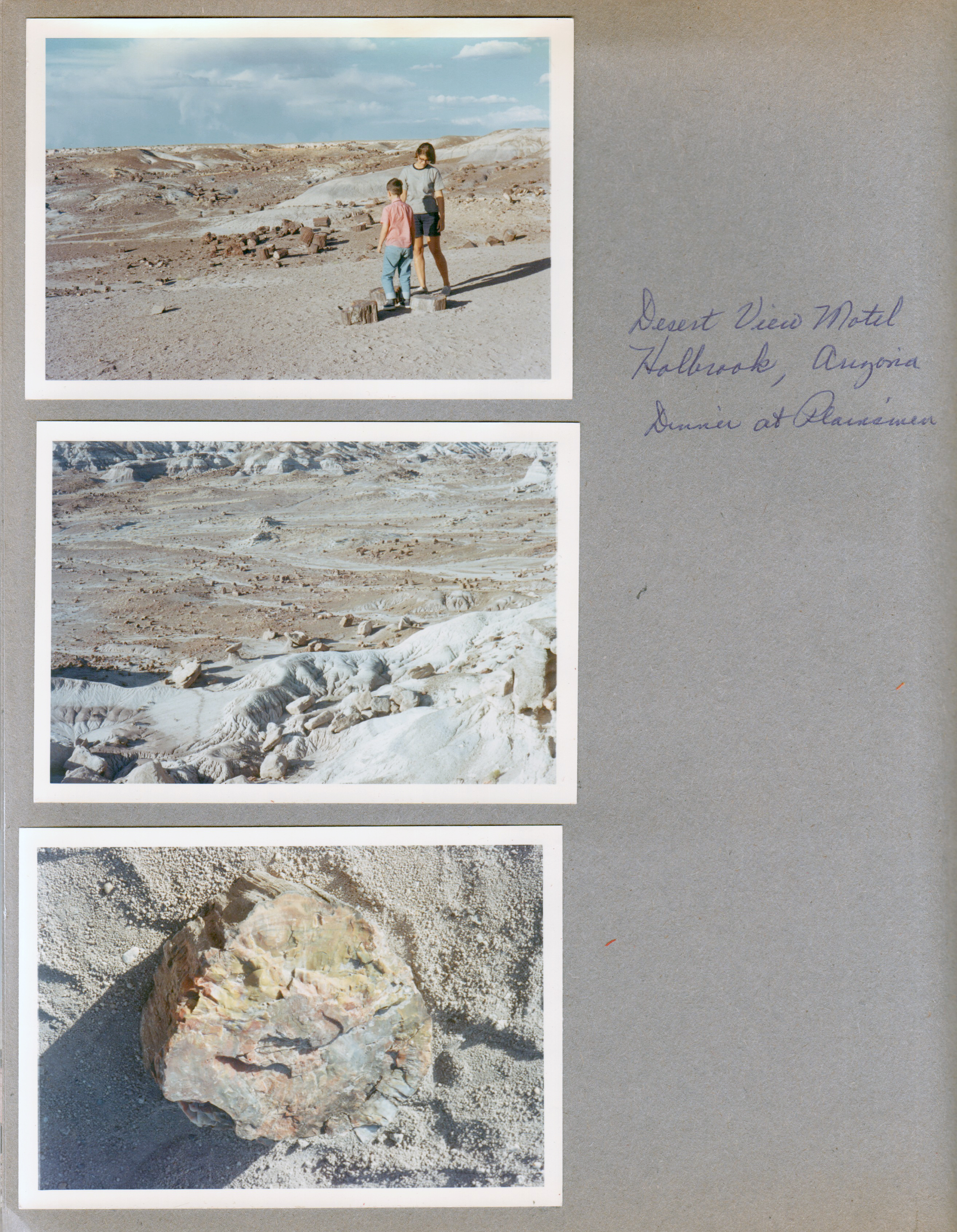 Petrified Forest - Alan and Susan. Desert View Motel - Holbrook, Arizona. Dinner at Plainsmen