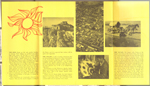 Petrified Forest. pamphlet Holbrook, Arizona