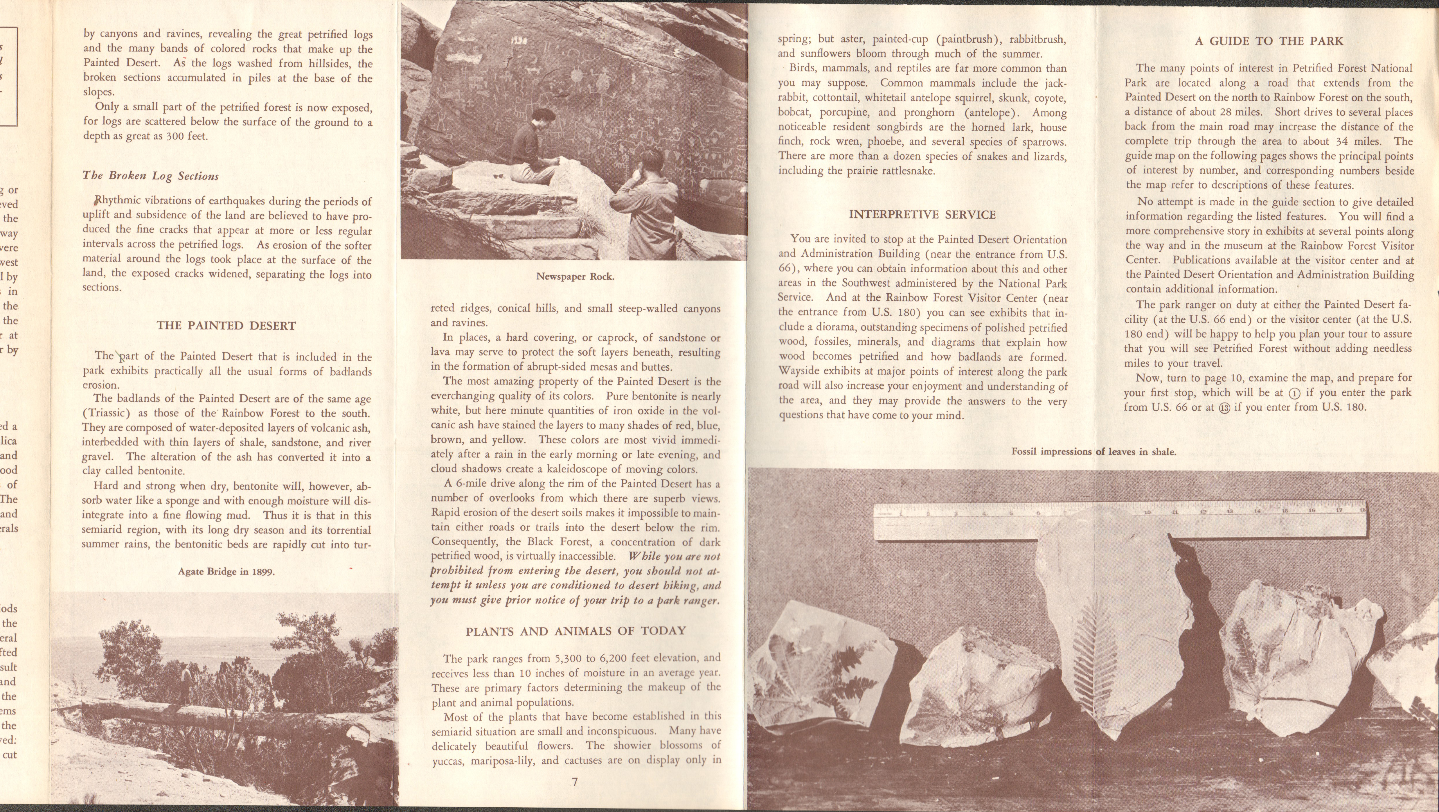 Petrified Forest. pamphlet Holbrook, Arizona