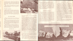 Petrified Forest. pamphlet Holbrook, Arizona