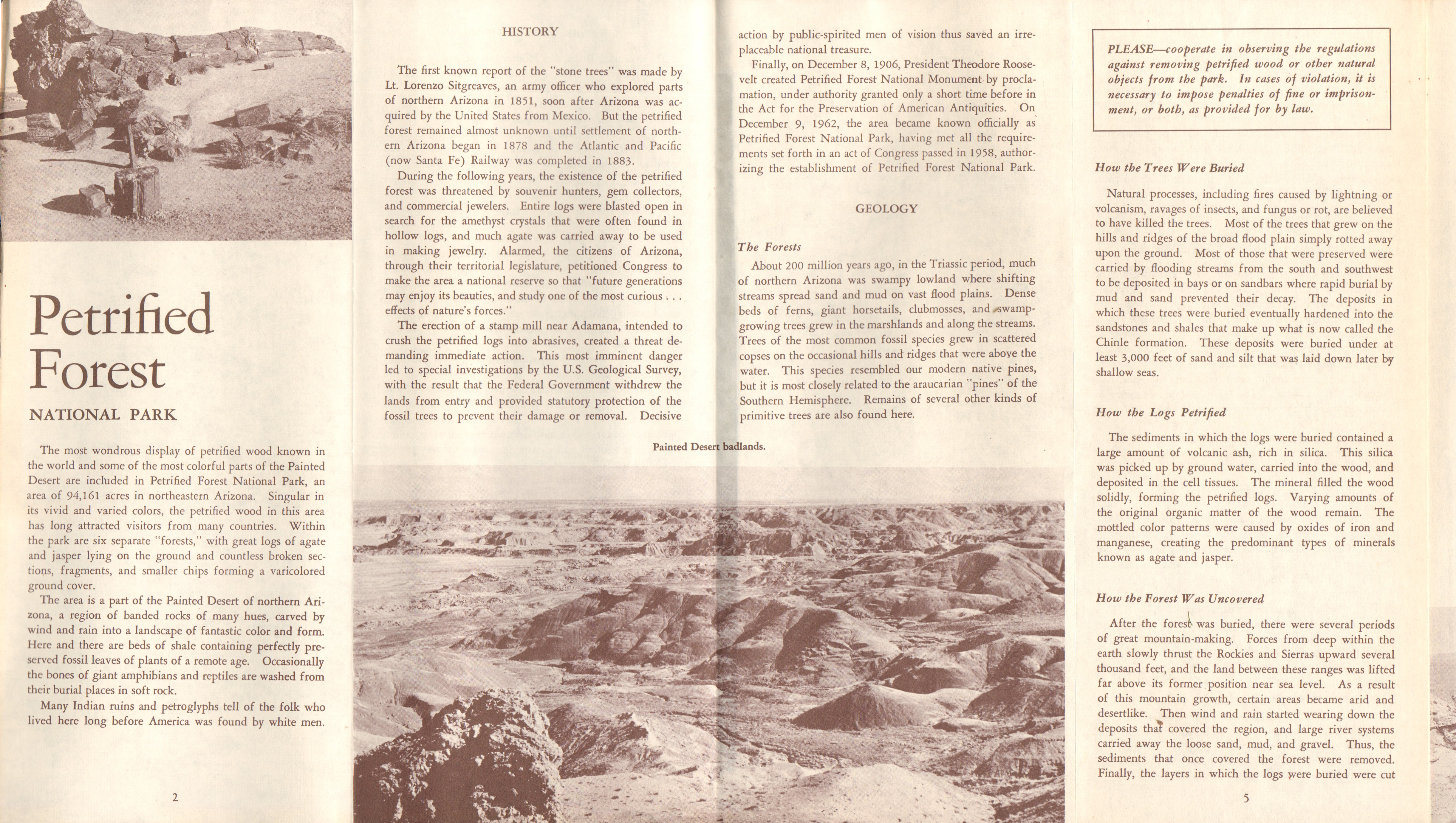 Petrified Forest. pamphlet Holbrook, Arizona