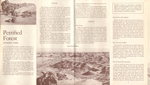 Petrified Forest. pamphlet Holbrook, Arizona
