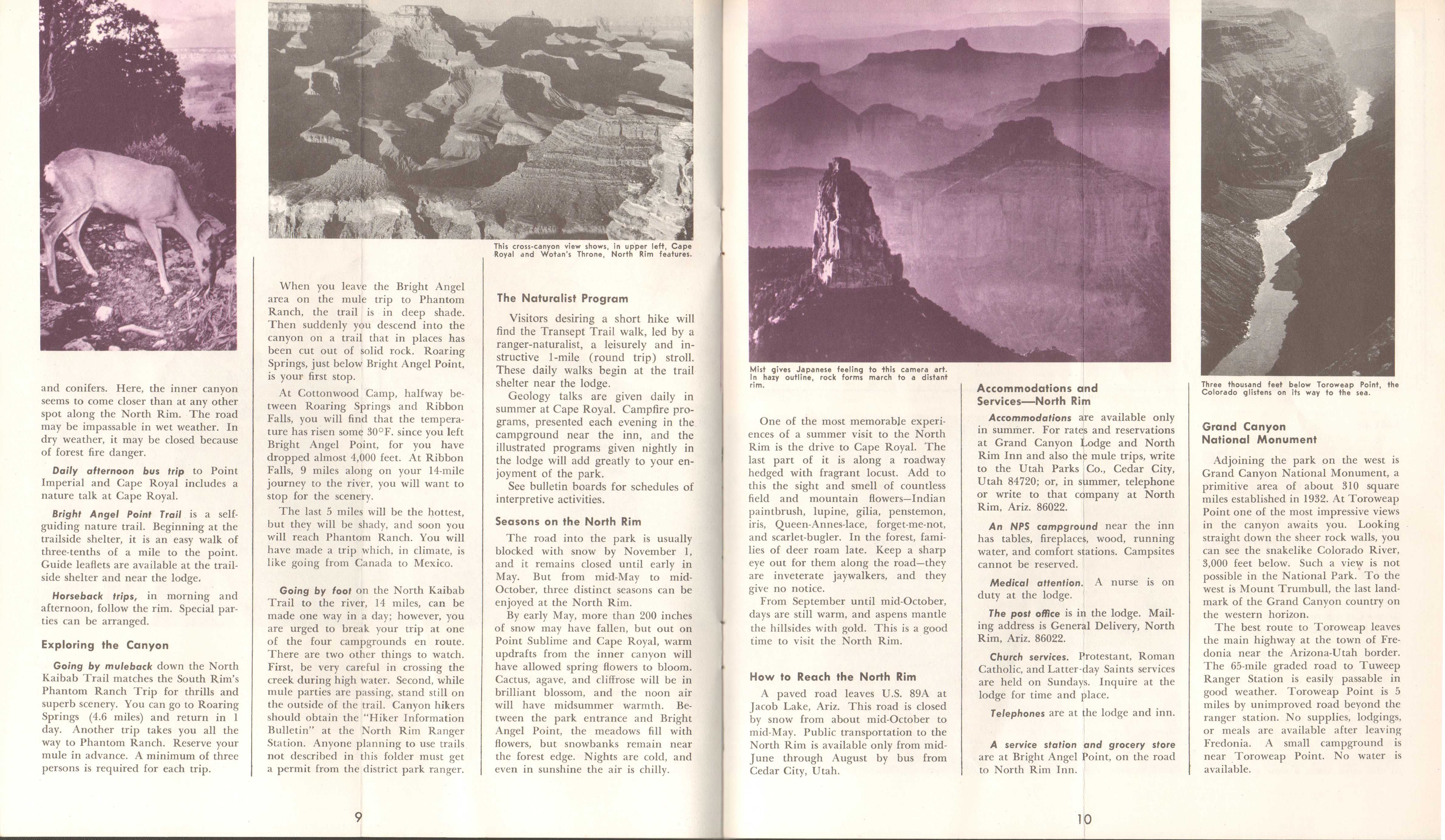 pamphlet Grand Canyon National Park, Arizona