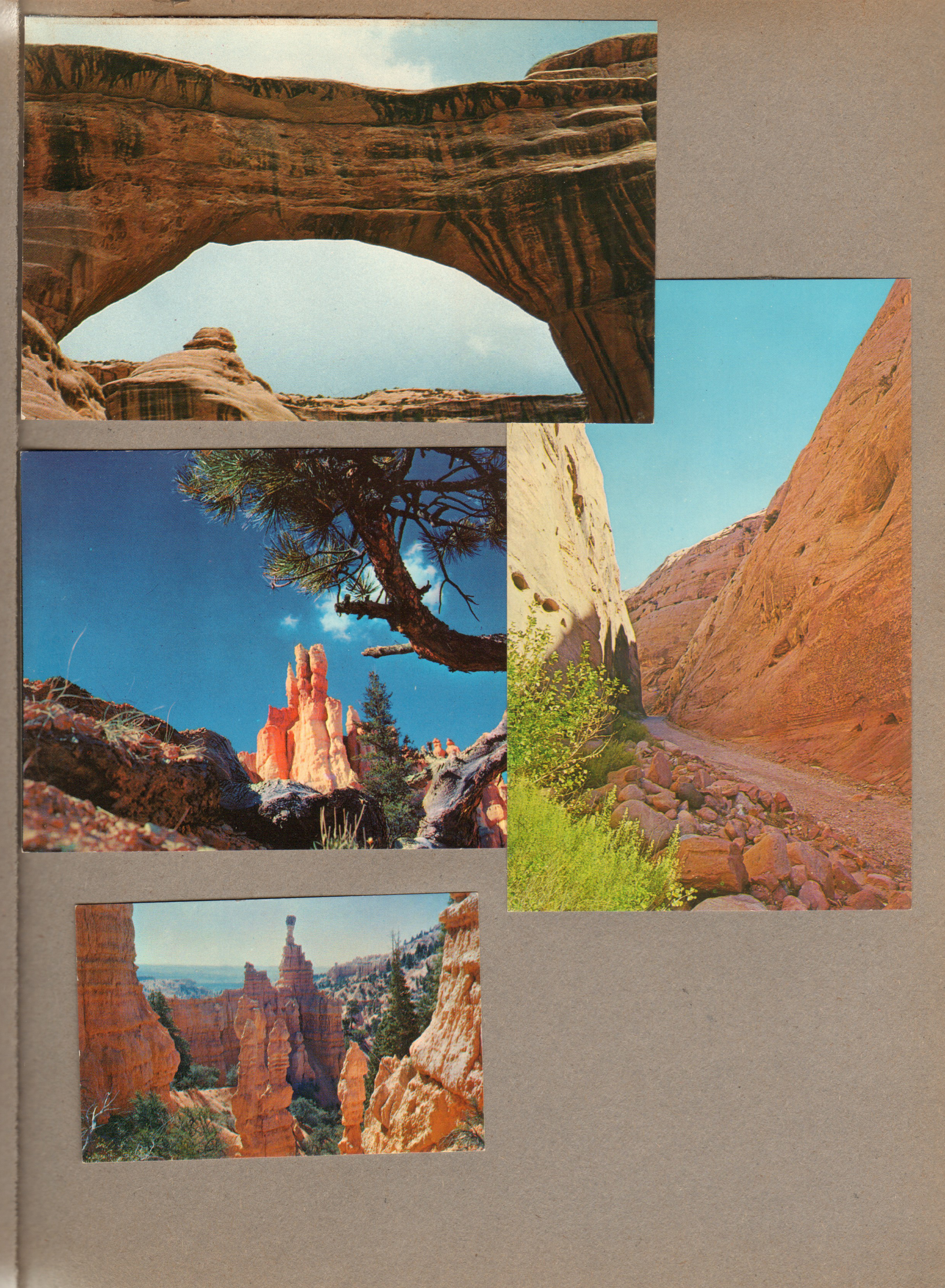 postcard Sipapu Natural Bridge ES-270 12213, postcard Capitol Gorge ES-697 15062, postcard Queen's Garden Bryce Canyon National Park SL 120 P10087, Bryce Hotel and Service business card