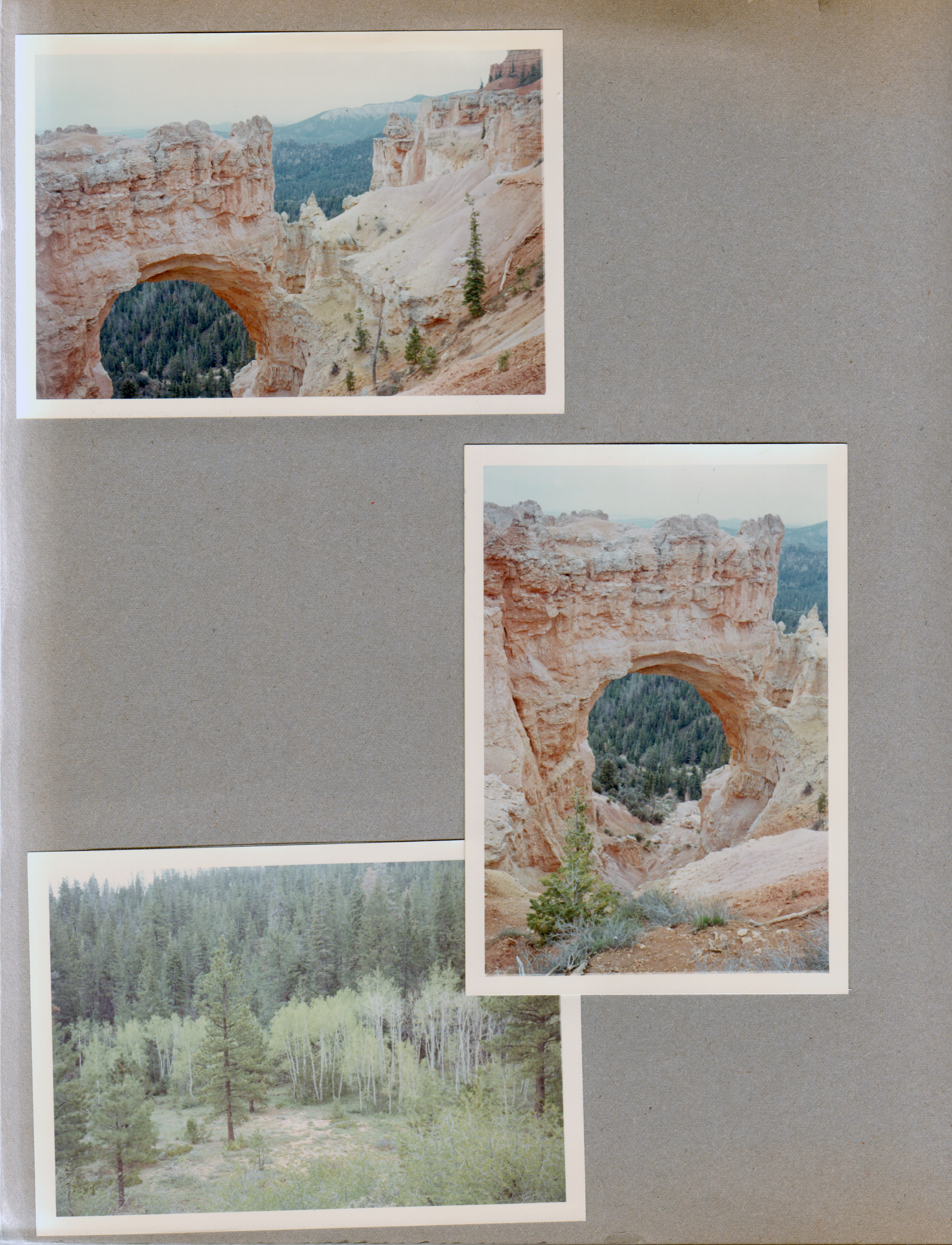 Bryce Canyon?