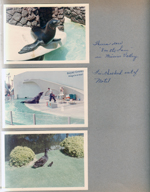 Sea World seal show - Thurs saw 