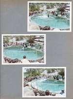 Sea World Shamu show
