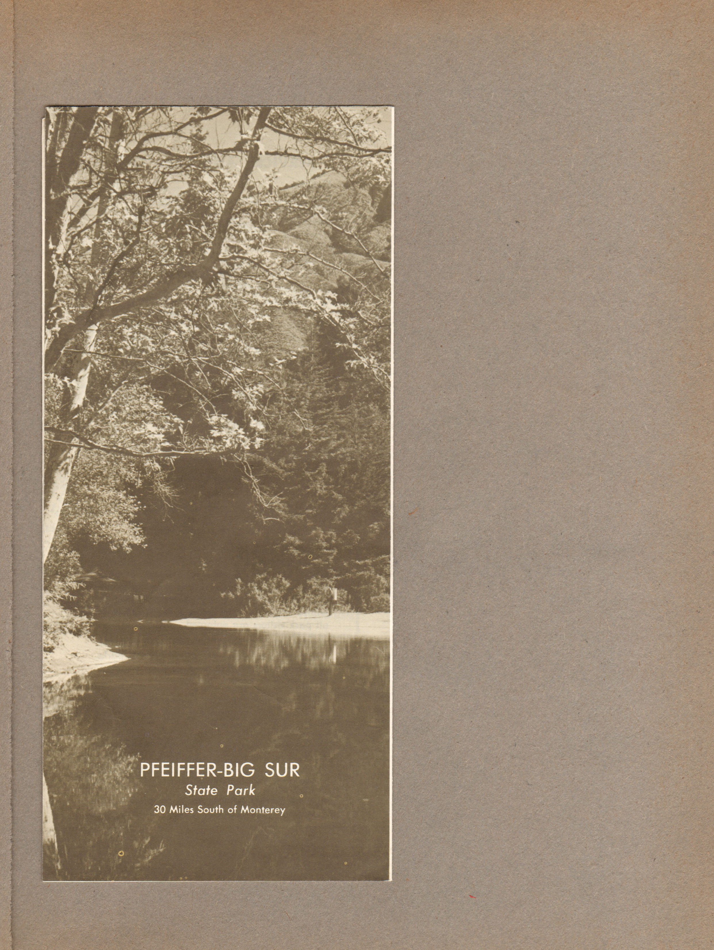 Pfeiffer-Bug Sur State Park brochure