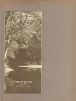 Pfeiffer-Bug Sur State Park brochure