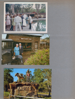 Knott's Berry Farm - wedding. postcard The Old Berry Stand - Walter and Cordelia Knott KBF-50 A, postcard This status symbolizes the pioneering KR-1