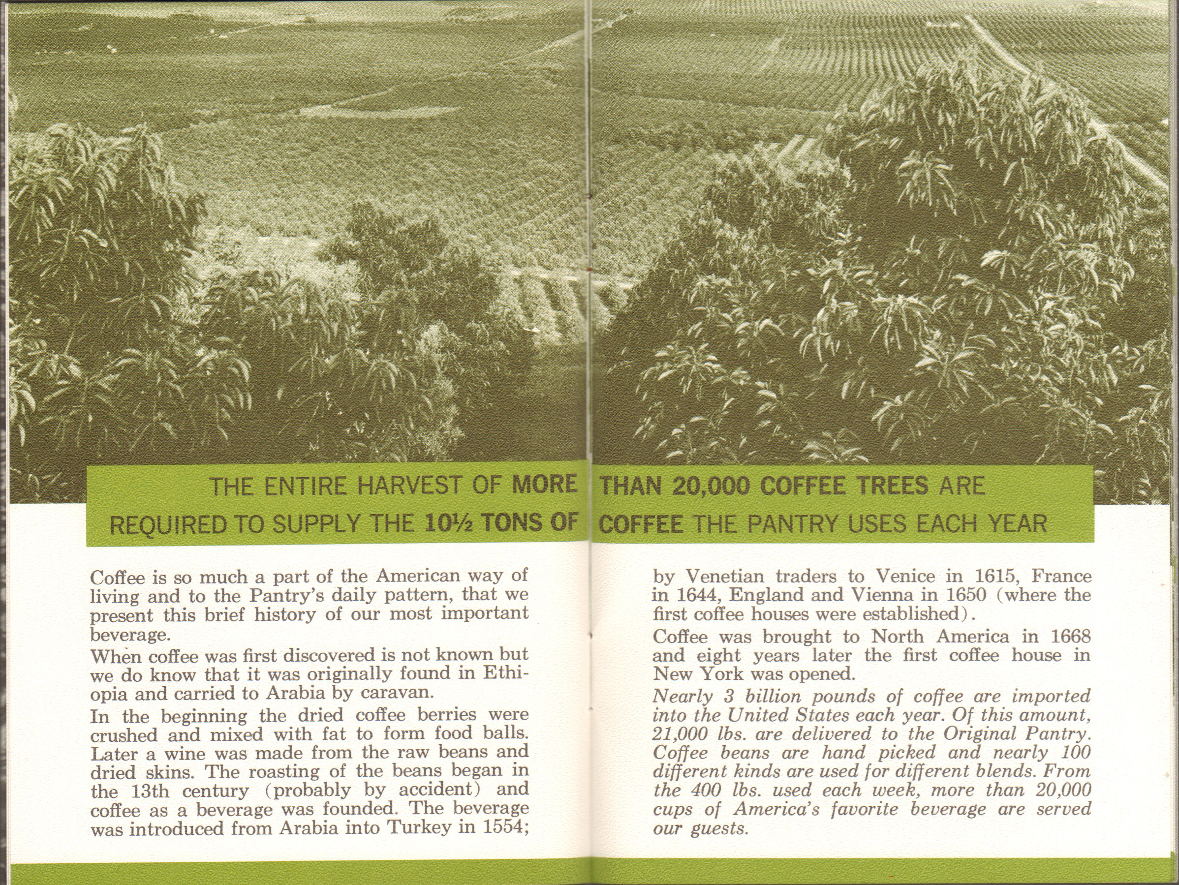 The Original Pantry Cafe booklet