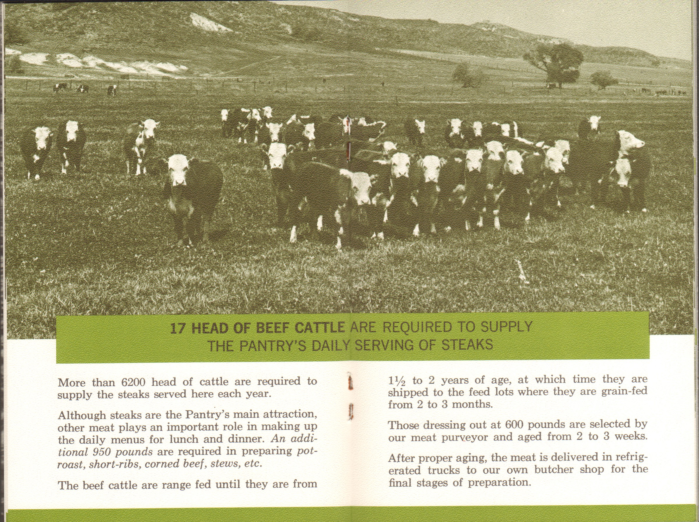 The Original Pantry Cafe booklet