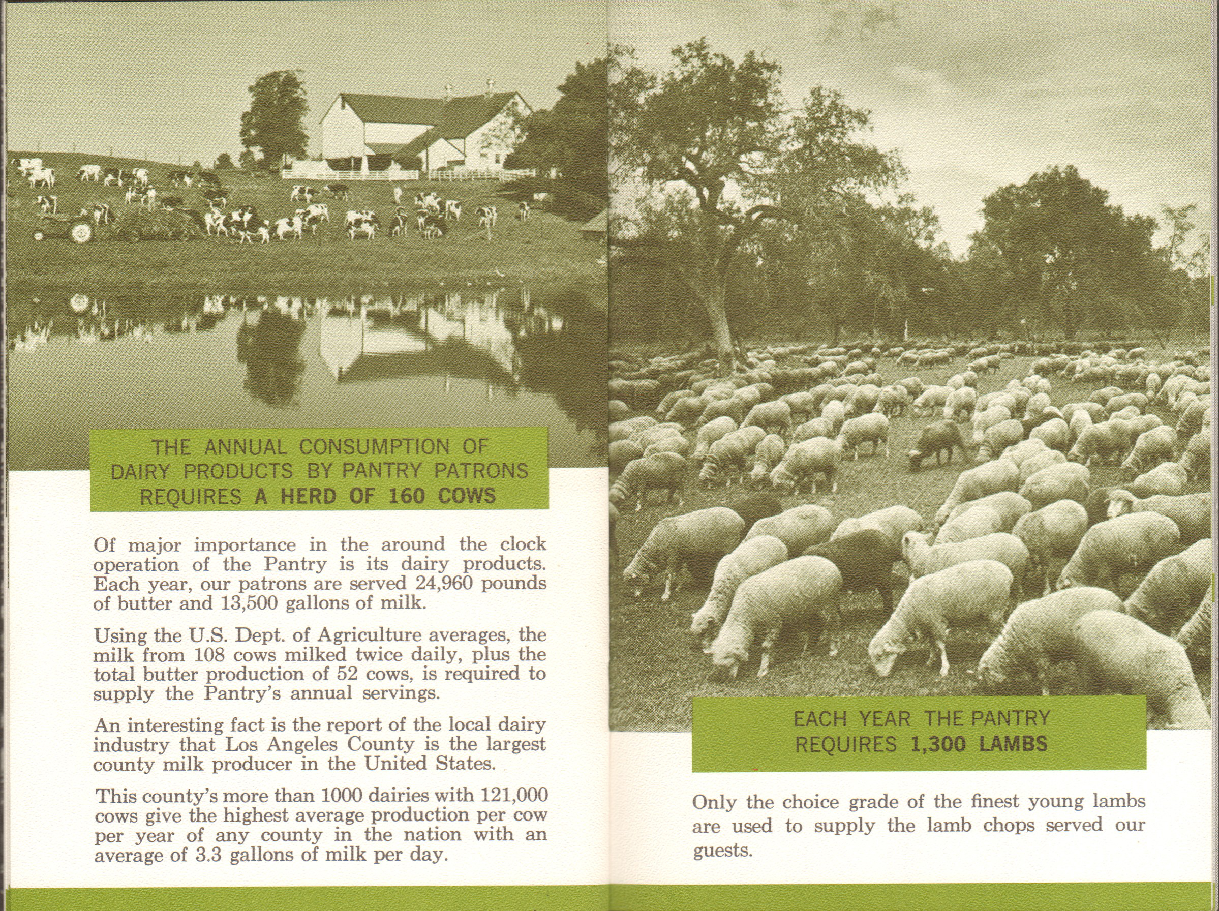 The Original Pantry Cafe booklet