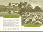 The Original Pantry Cafe booklet