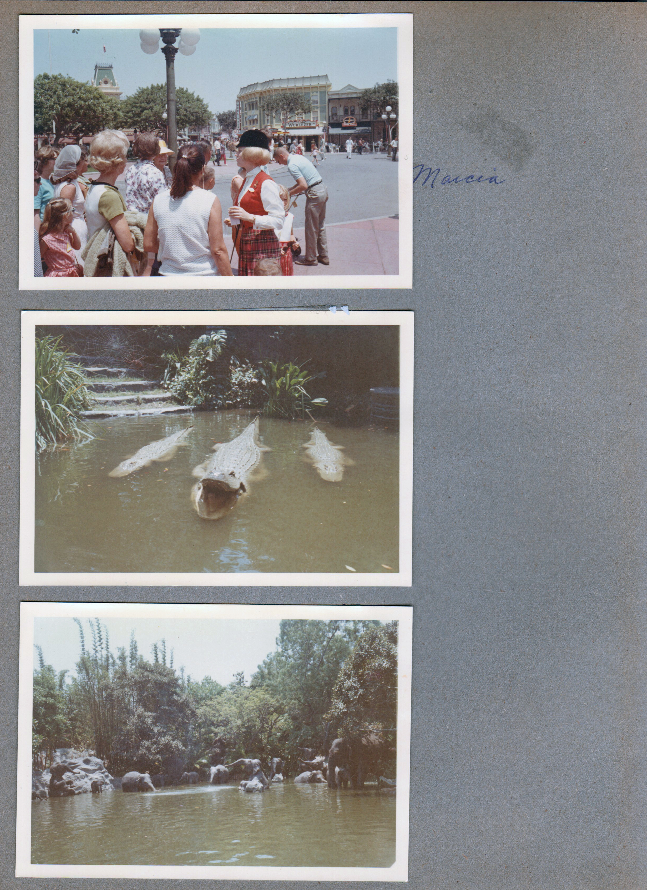 Disneyland - Marcia tour guide. Jungle Cruise alligator and hippo