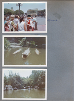 Disneyland - Marcia tour guide. Jungle Cruise alligator and hippo
