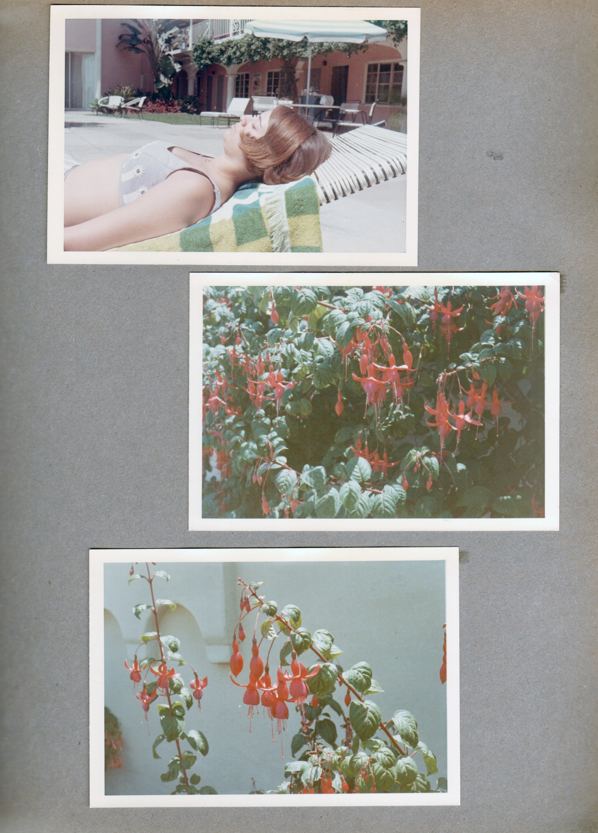 Susan by pool. Flowers