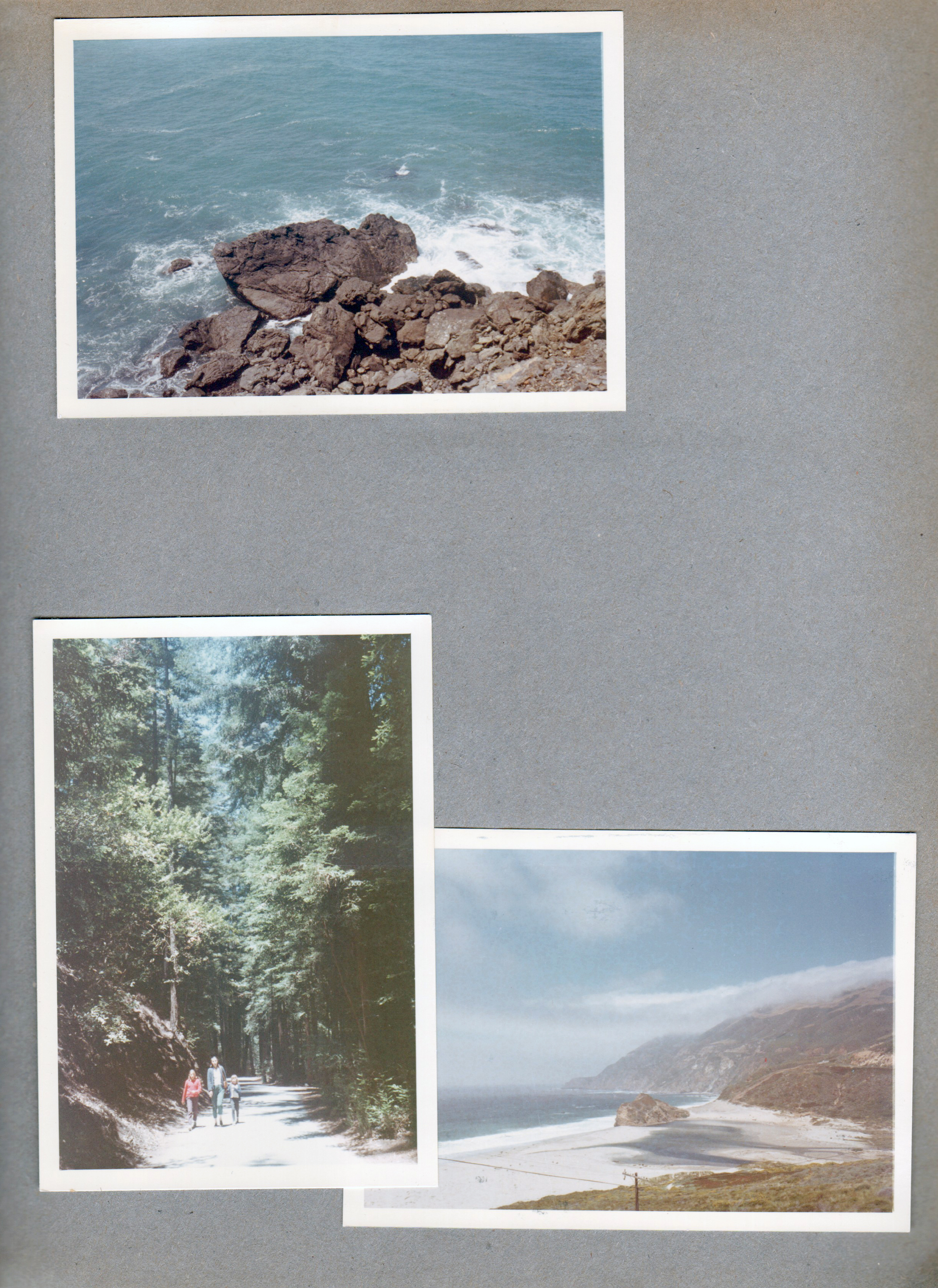 California Trip - driving along coast. Family walking in forest.