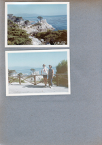 Rocky beach with trees. Susan and Rosemary on road by ocean