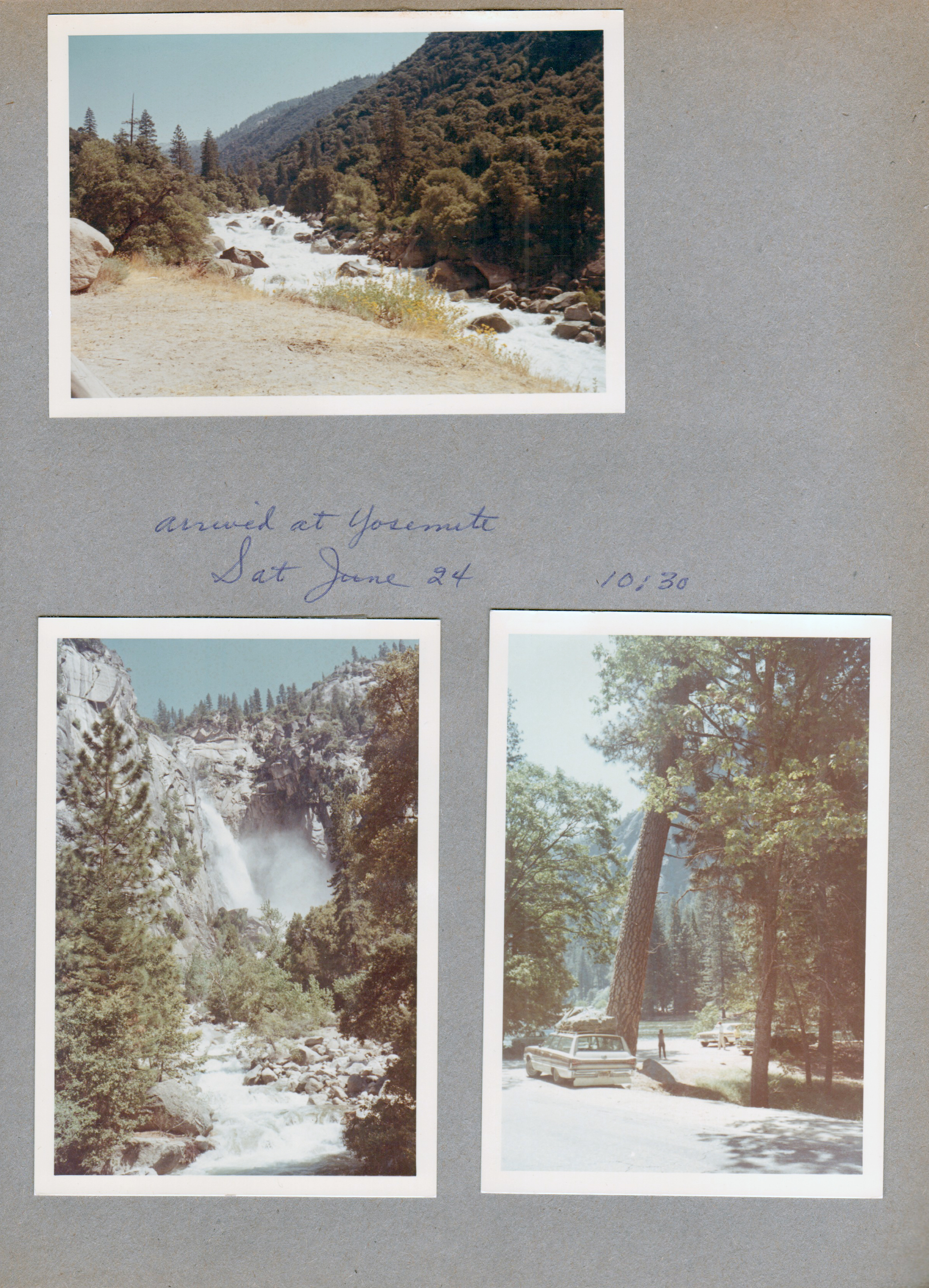 Arrived at Yosemite. River. waterfall. tall trees