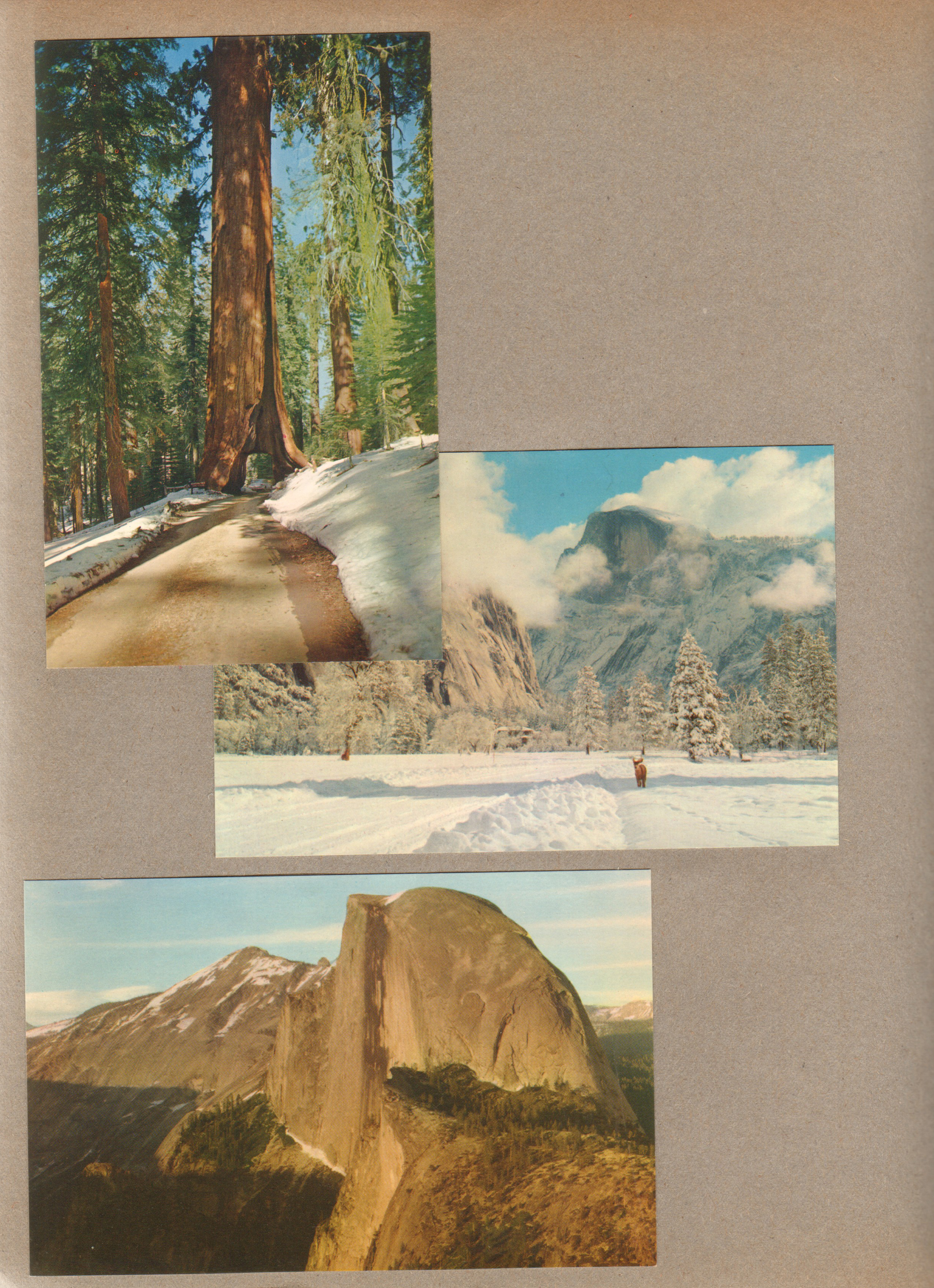 Yosemite - postcard road through tree. postcard snow. postcard El Capitan