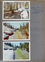Yellowstone National Park. Western Governor's Convention in Wyoming and Montana. Taking pictures of bear. Bear at car window. Alan