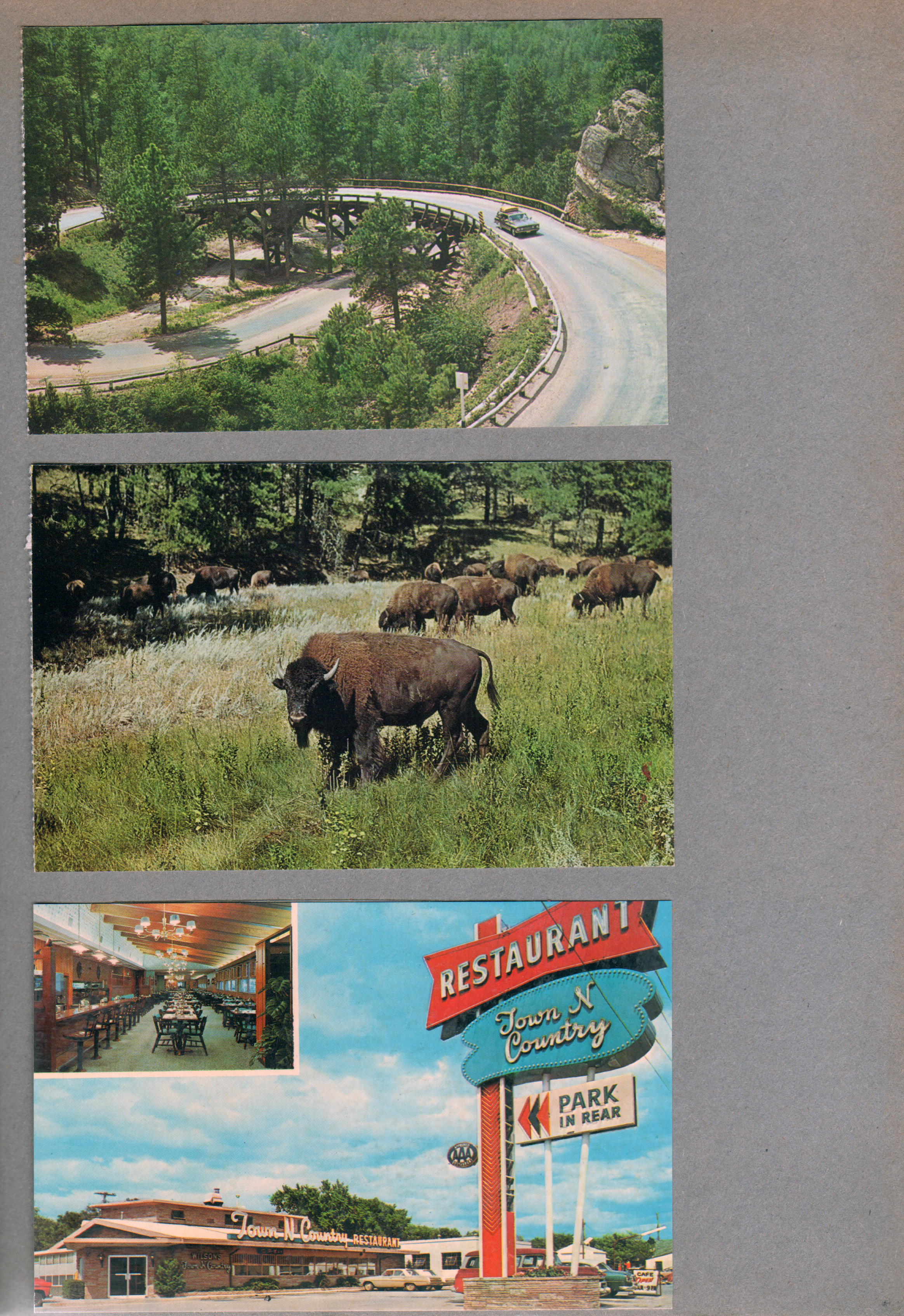 postcard Pig Tail Bridge Custer State Park. postcard buffalo. postcard Town N Country Restaurant