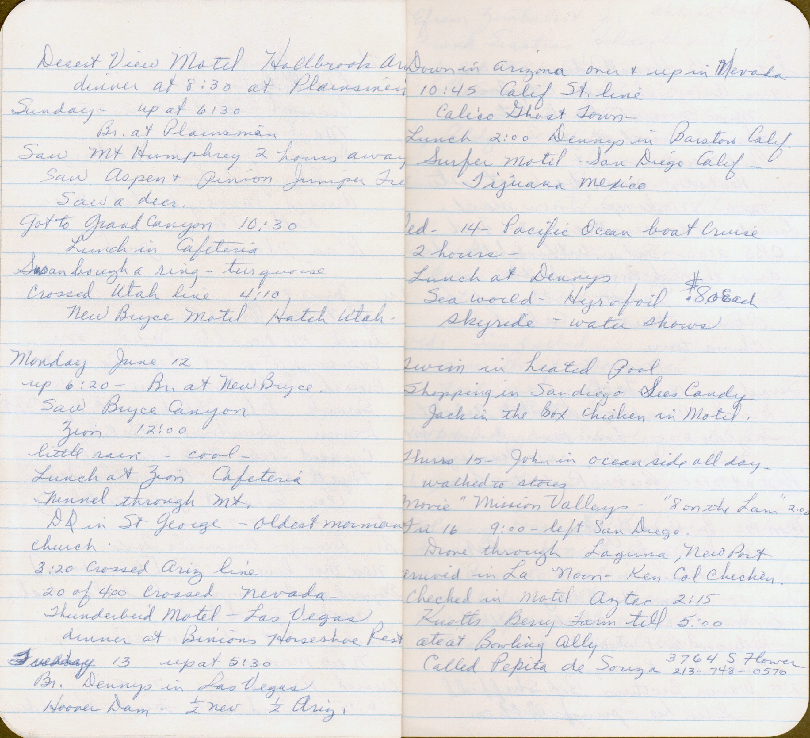 Rosemary's trip diary