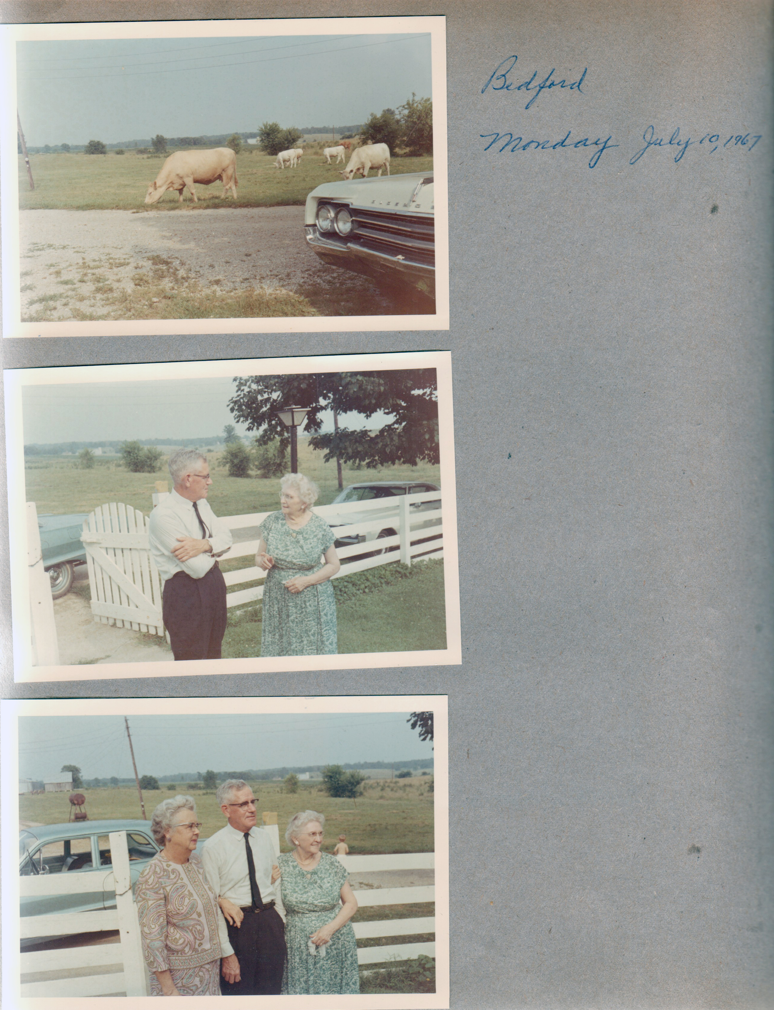 Bedford, IN cows. Charles and Vonnie Letsinger, Ruby