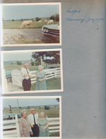 Bedford, IN cows. Charles and Vonnie Letsinger, Ruby