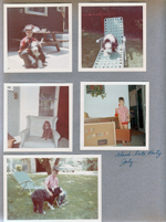 Alan's late birthday party in July. Alan and Brutus at 6123. Jo Jo the poodle inside 6123 Louise's house. Alan in 6122 living room with briefcase. 