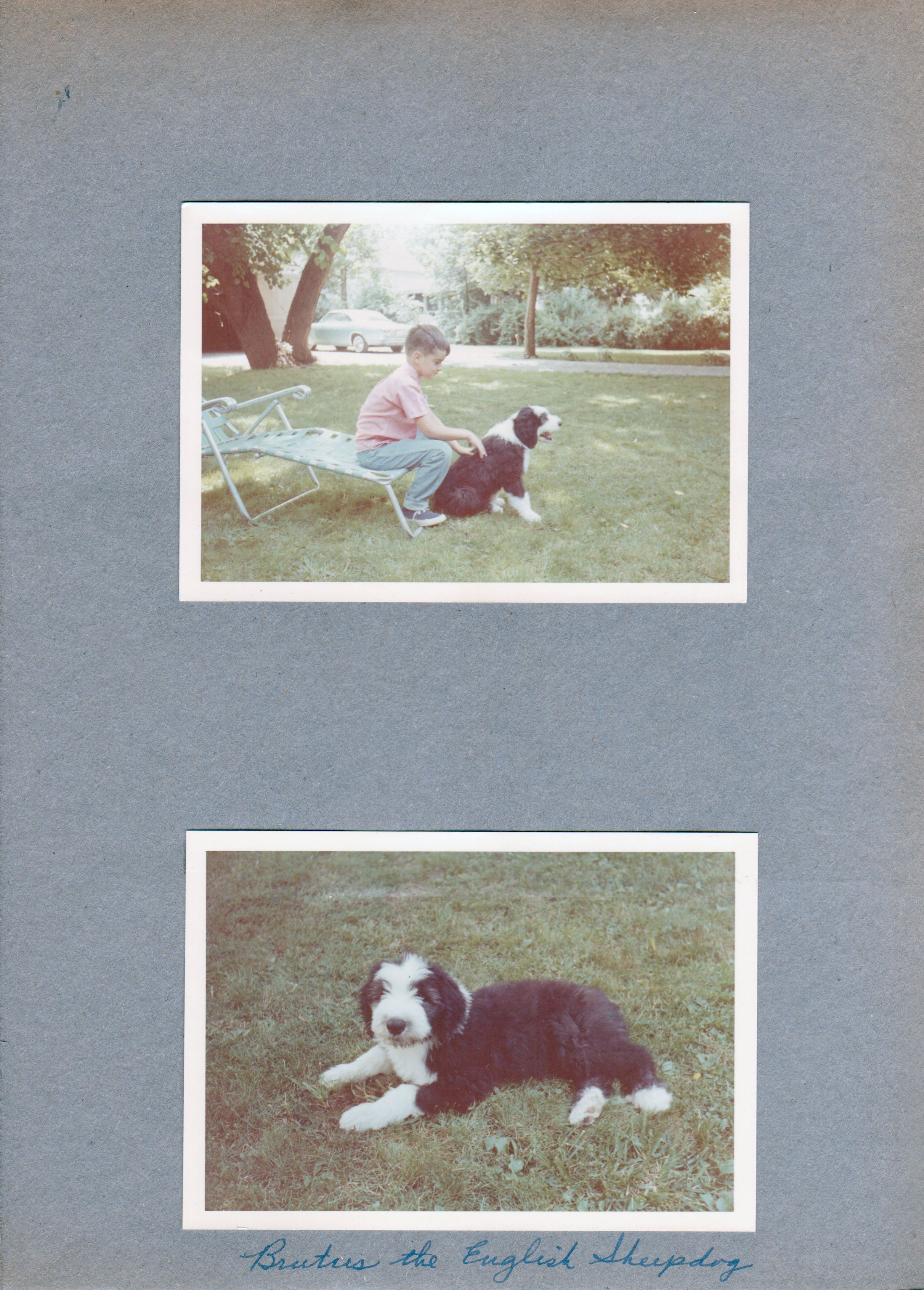 Alan and Brutus at 6123
