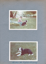 Alan and Brutus at 6123