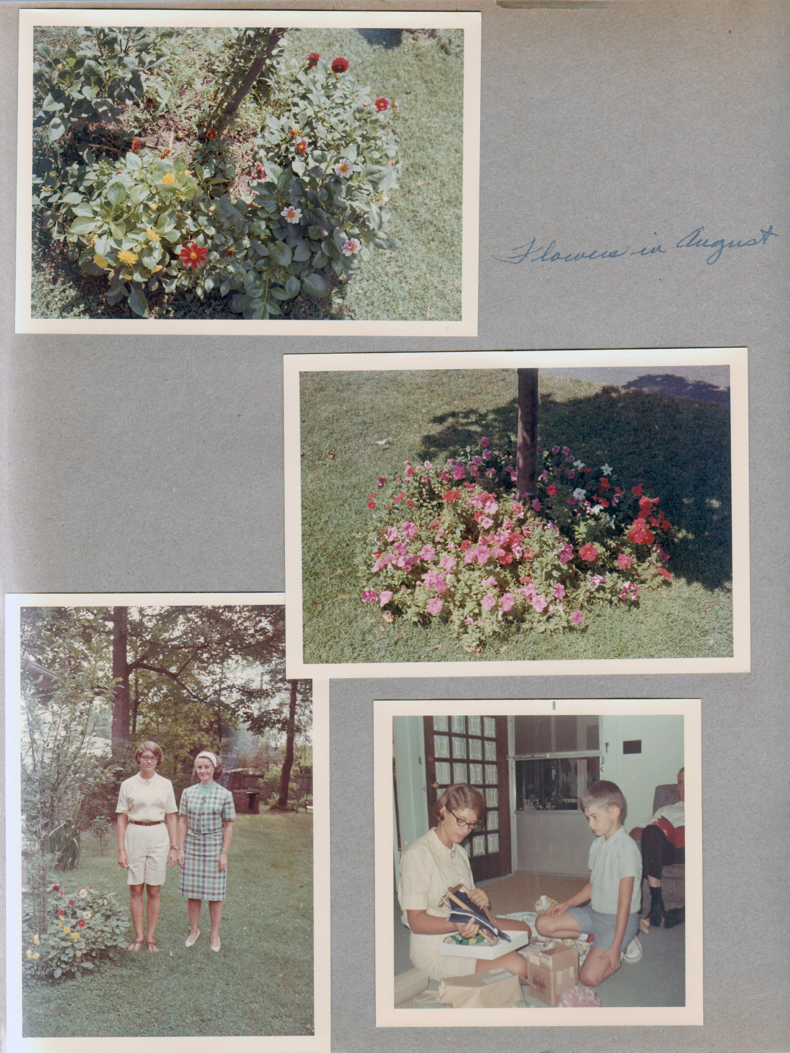 6122 yard flowers Susan Rosemary. Living room Susan and Alan - Susan's birthday gifts, Girstle