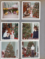 Mother's pretty flowers and plants in the hospital (Vonnie?). 6122 dining room Christmas Tree - Rosemary, Alan, Susan.