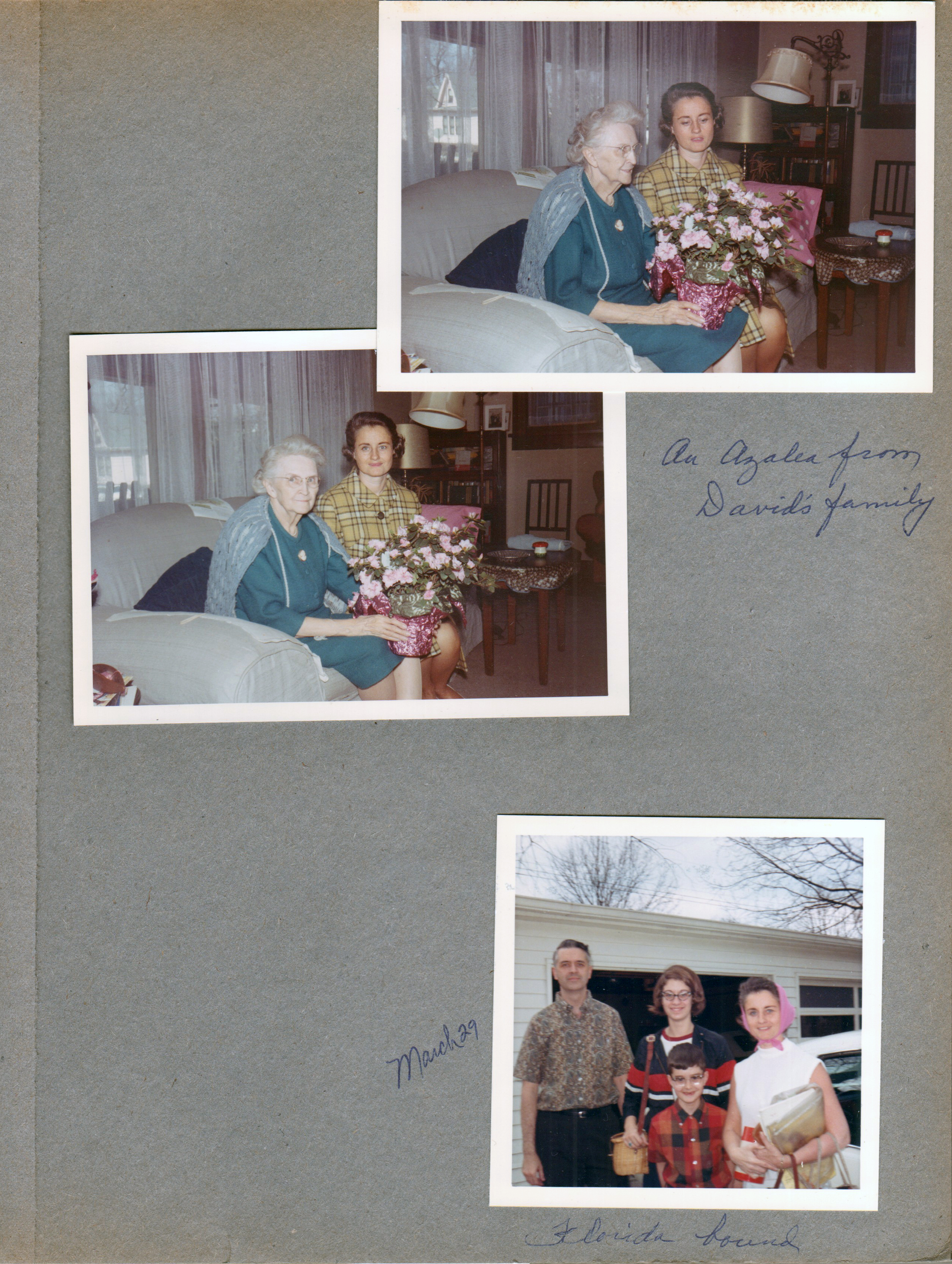 3845 Capitol Vonnie Rosemary azalea from David's family. 6122 garage Florida bound - John Susan Alan Rosemary