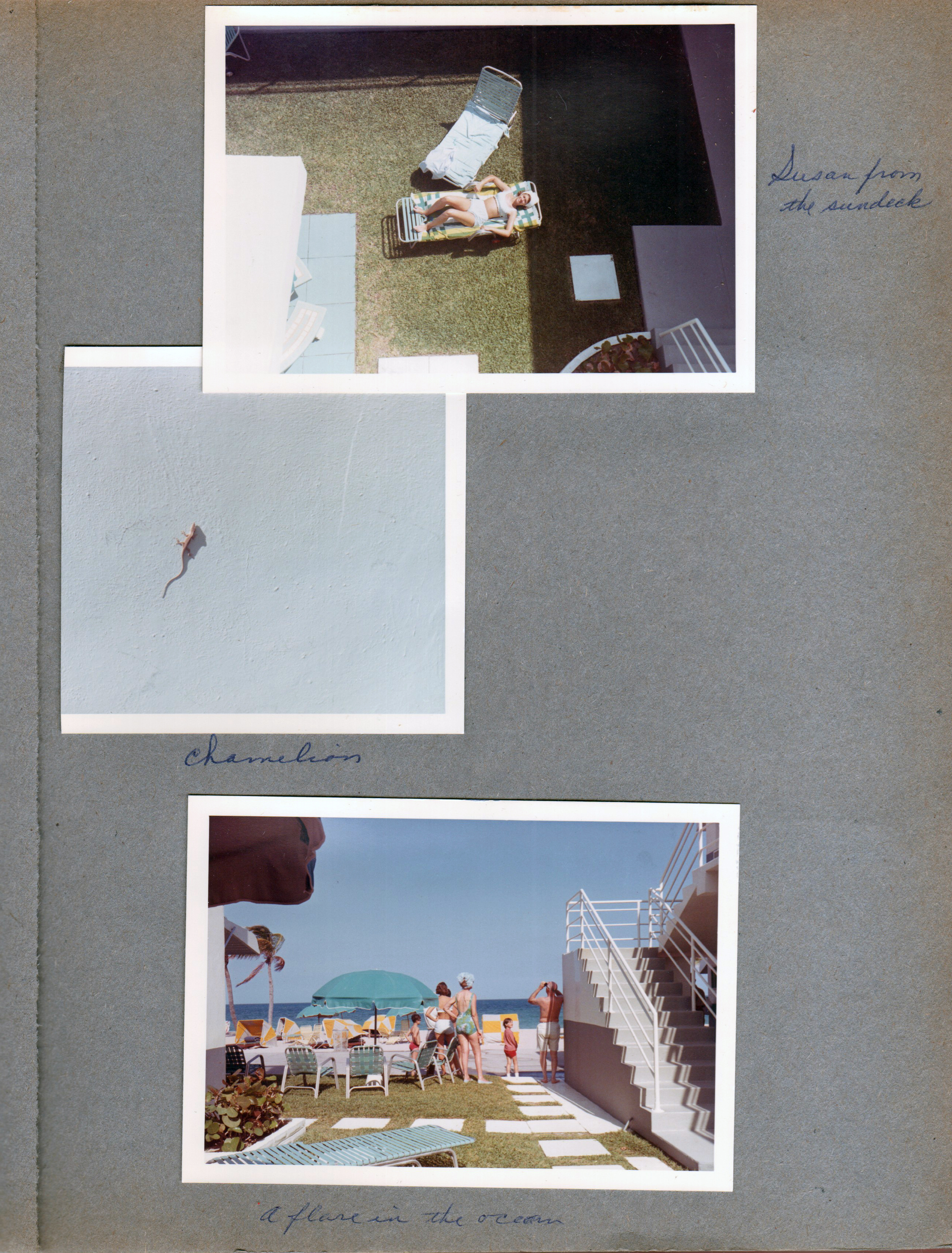 Hollywood Beach - Neptune - from sundeck - Susan sunbathing. Chamelion.  People looking at a flare in the ocean.