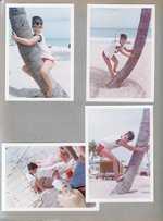 Hollywood Beach -  Alan climbing palm tree.