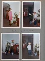 6122 living room Susan Easter dress. Joe Letsinger. Lily plants