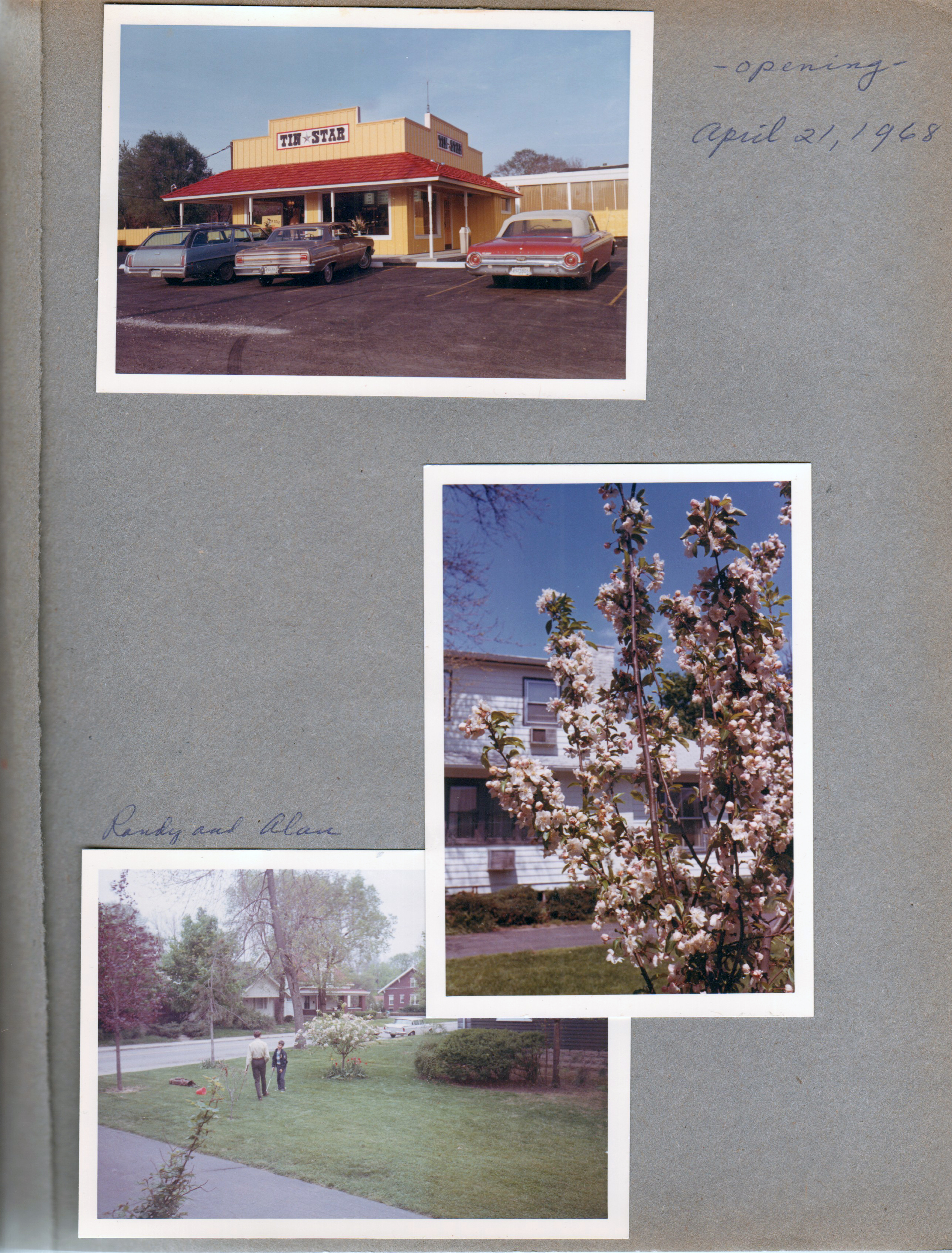 Tin Star opening Evanston and BR Ave. 6122 yard crab apple?