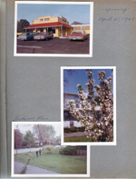 Tin Star opening Evanston and BR Ave. 6122 yard crab apple?