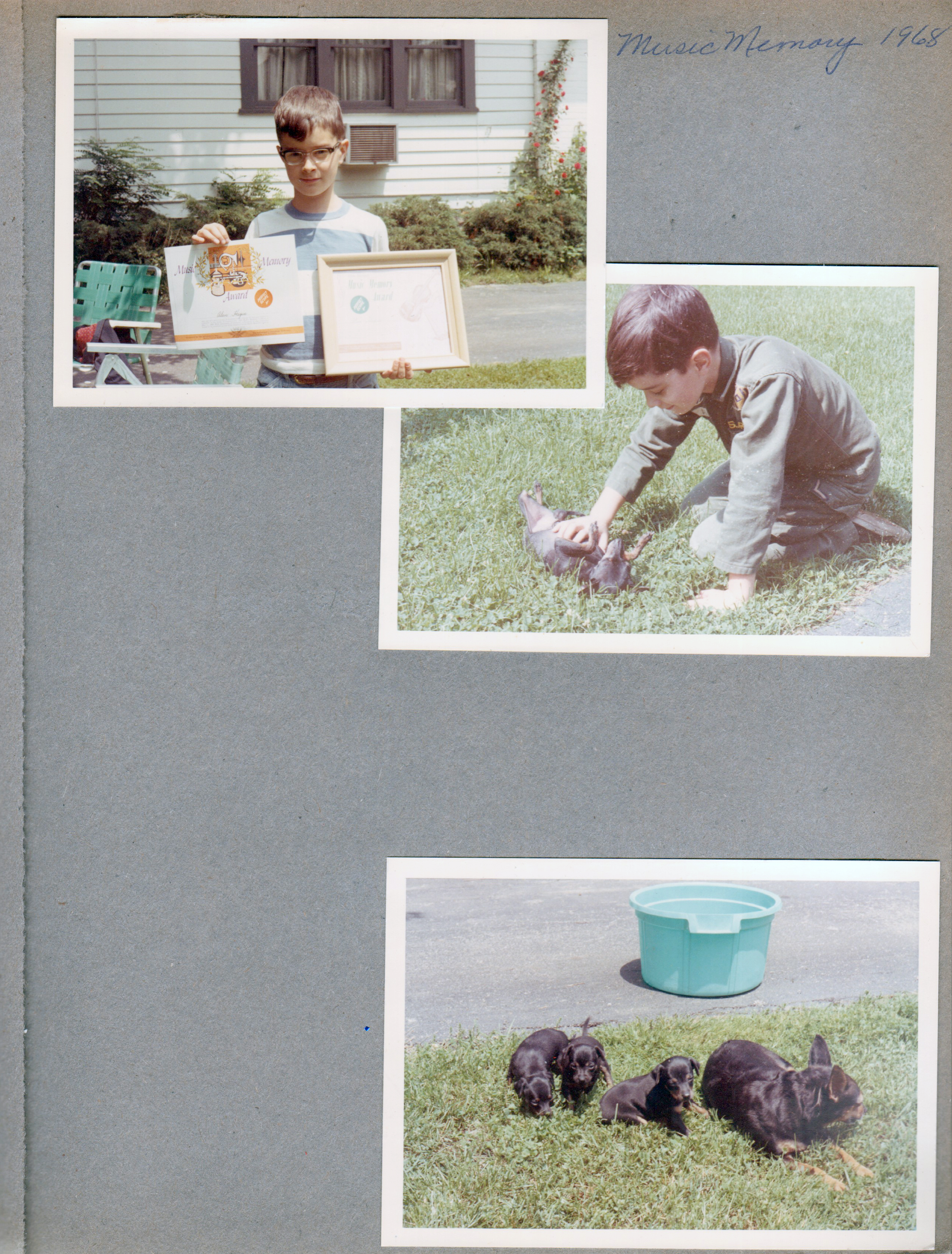 6122 yard - house - Alan with Music Memory awards. Playing with puppies. Princess and puppies.