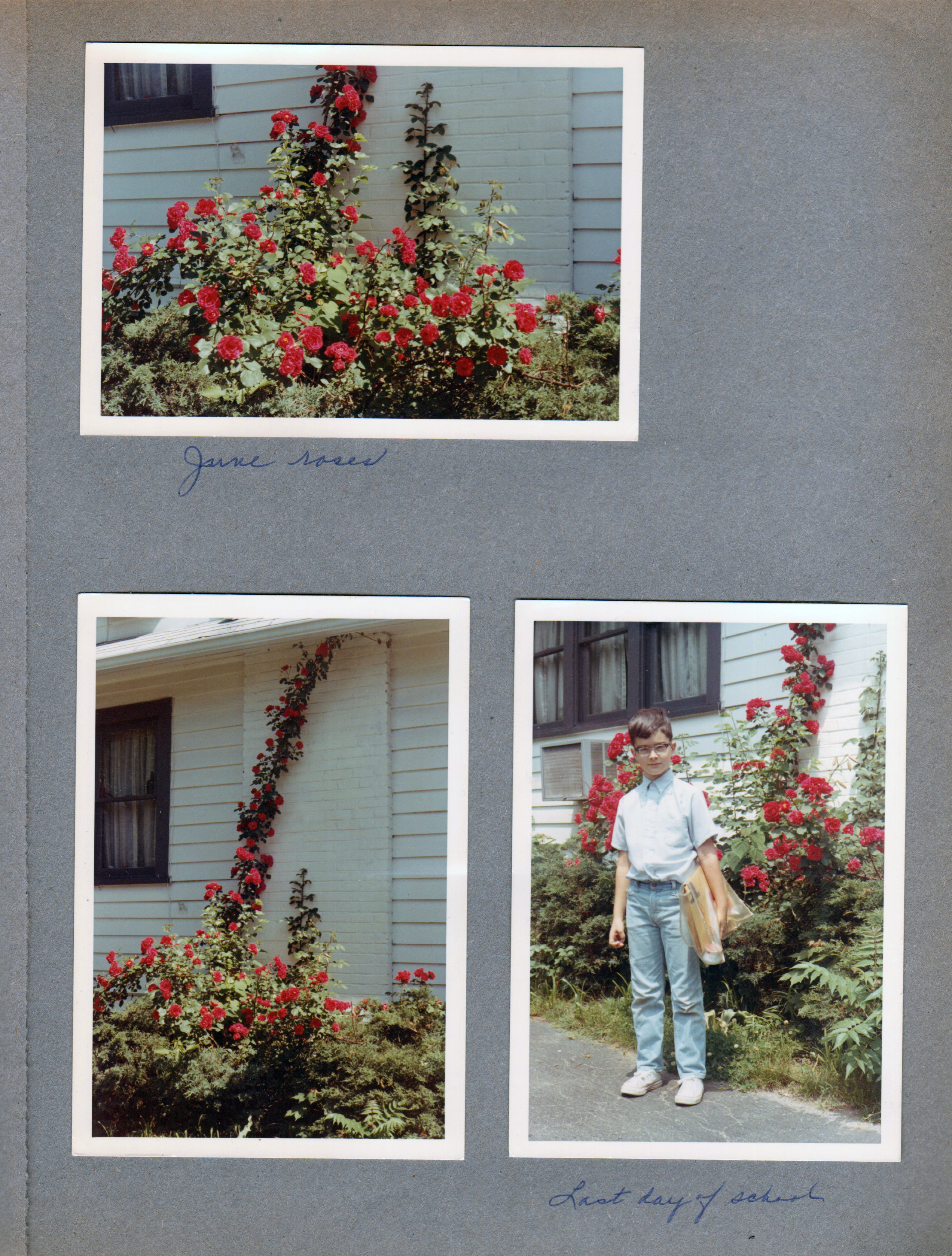 6122 yard roses. Alan last day of school 1968 - clear book bag