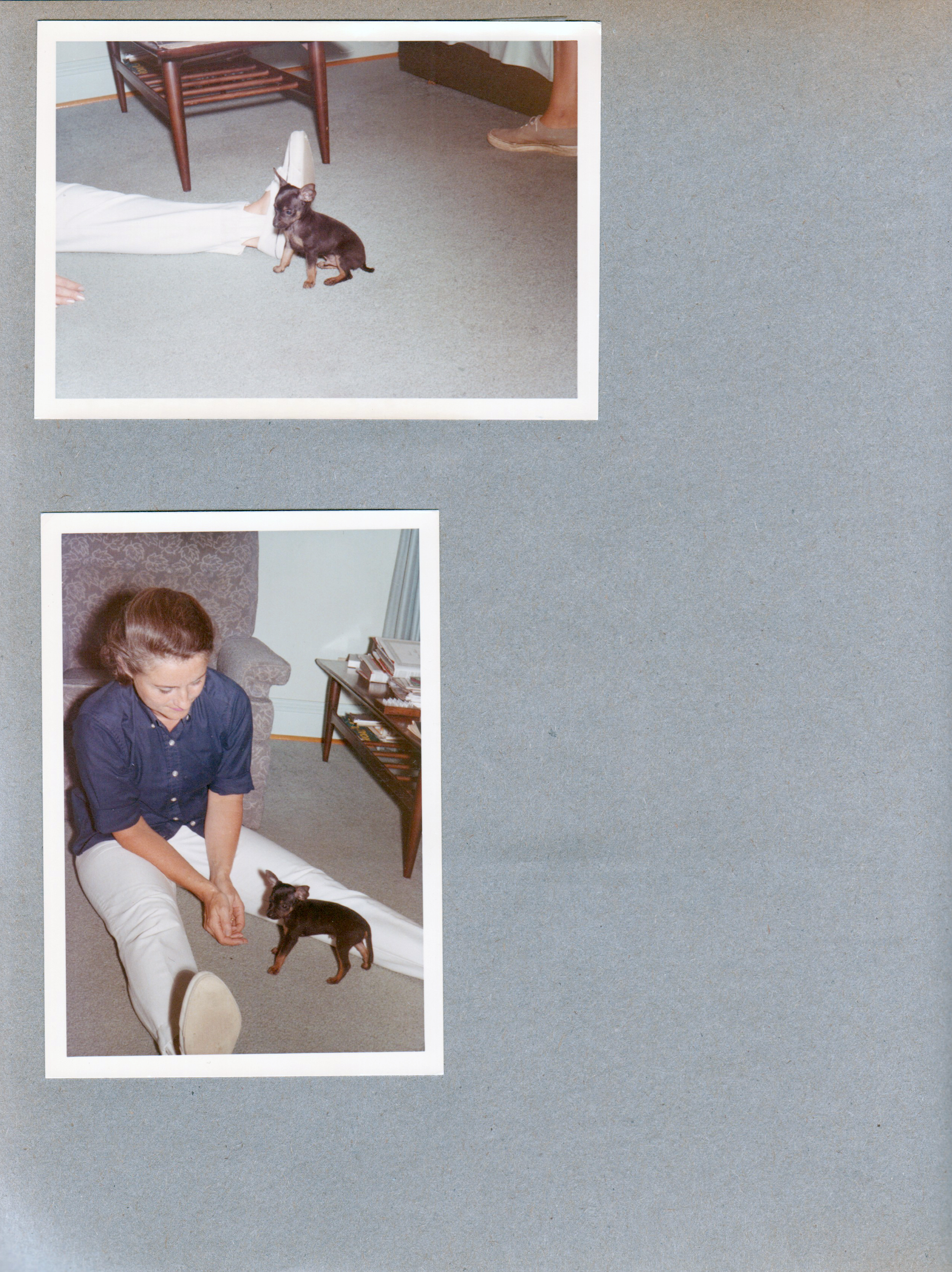 6122 living room - Rosemary with puppy