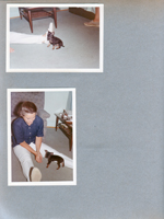 6122 living room -  Rosemary with puppy