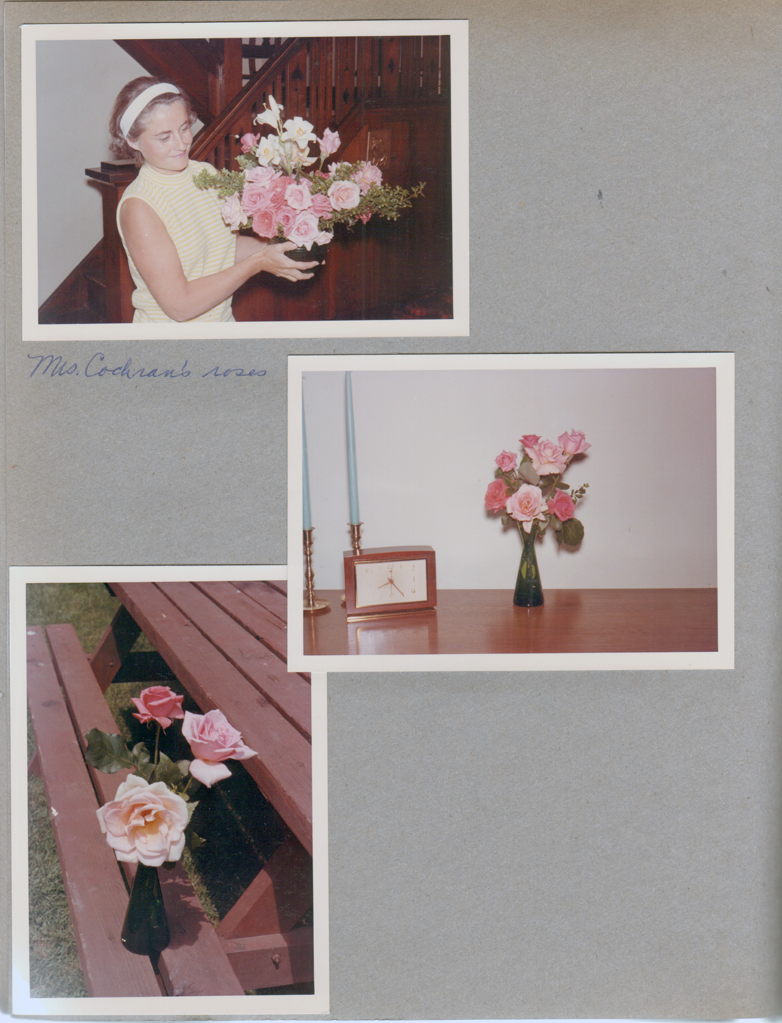 3845 Capitol Rosemary - Mrs Cochran's roses. 6122 living room - flowers on TV cabinet and on picnic table
