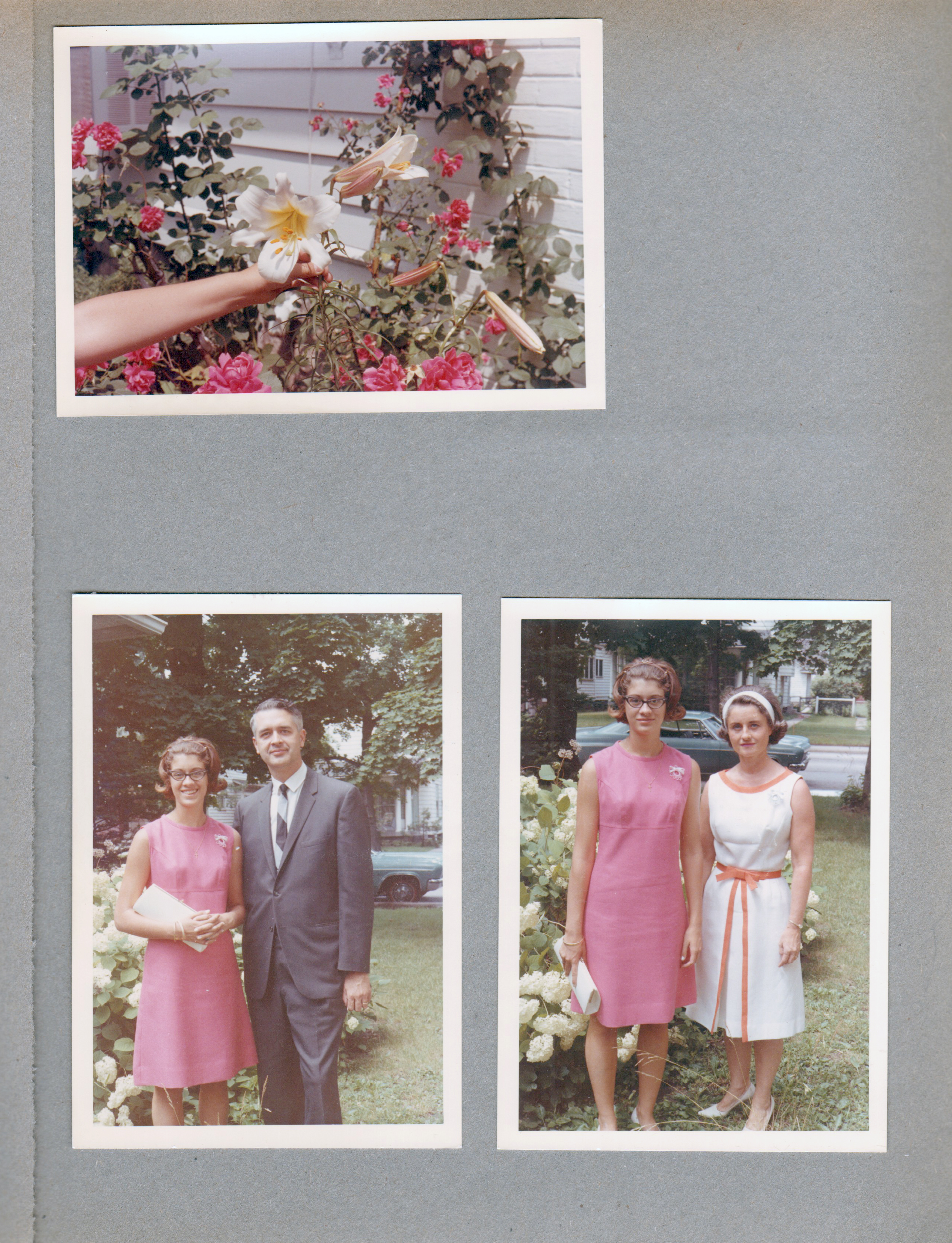 6122 yard - roses and lily. Susan and John. Susan and Rosemary.