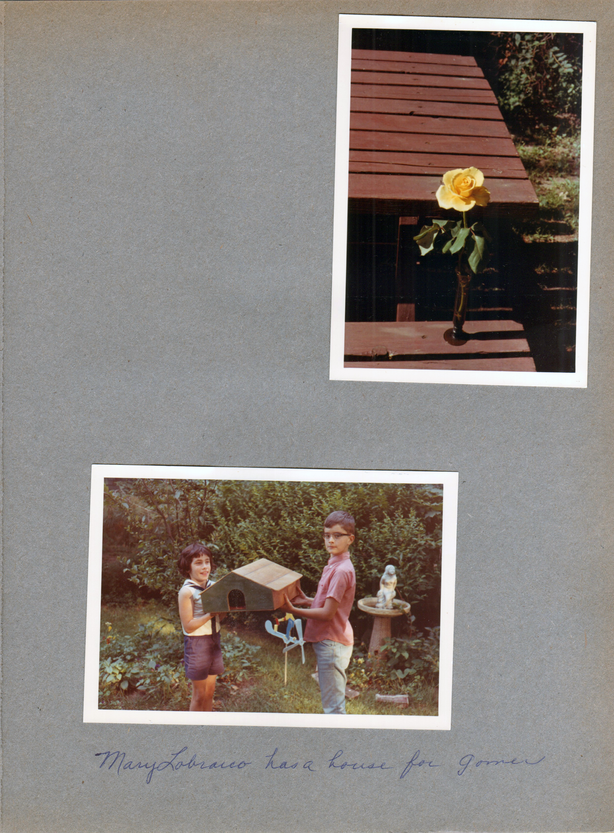 6122 yard - rose on picnic table. Alan and Mary Lobraico built house for Gomer the hamster.