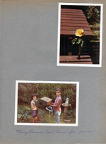 6122 yard - rose on picnic table. Alan and Mary Lobraico built house for Gomer the hamster.